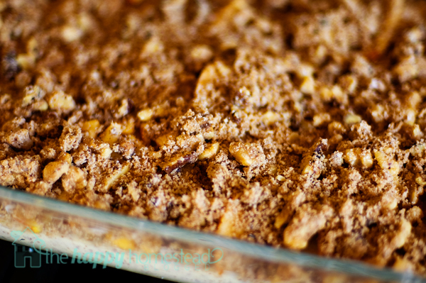 Apple-Walnut-Coffee-Cake-10