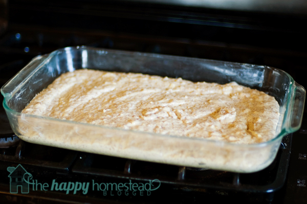 Apple-Walnut-Coffee-Cake-8