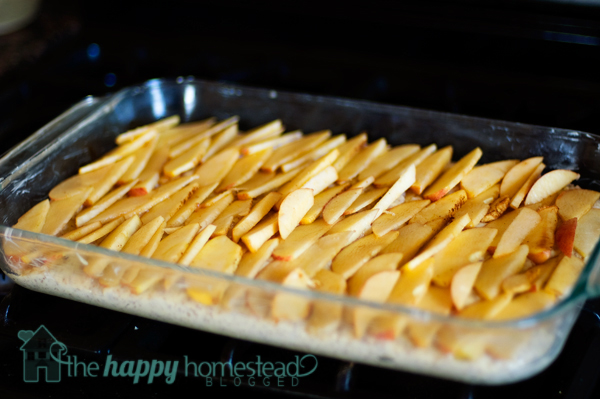 Apple-Walnut-Coffee-Cake-9